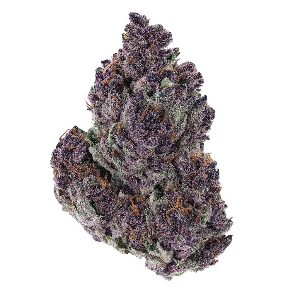 Six Of the Best Purple Weed Strains | Hot Razzberry Six Of the Best Purple Weed Strains