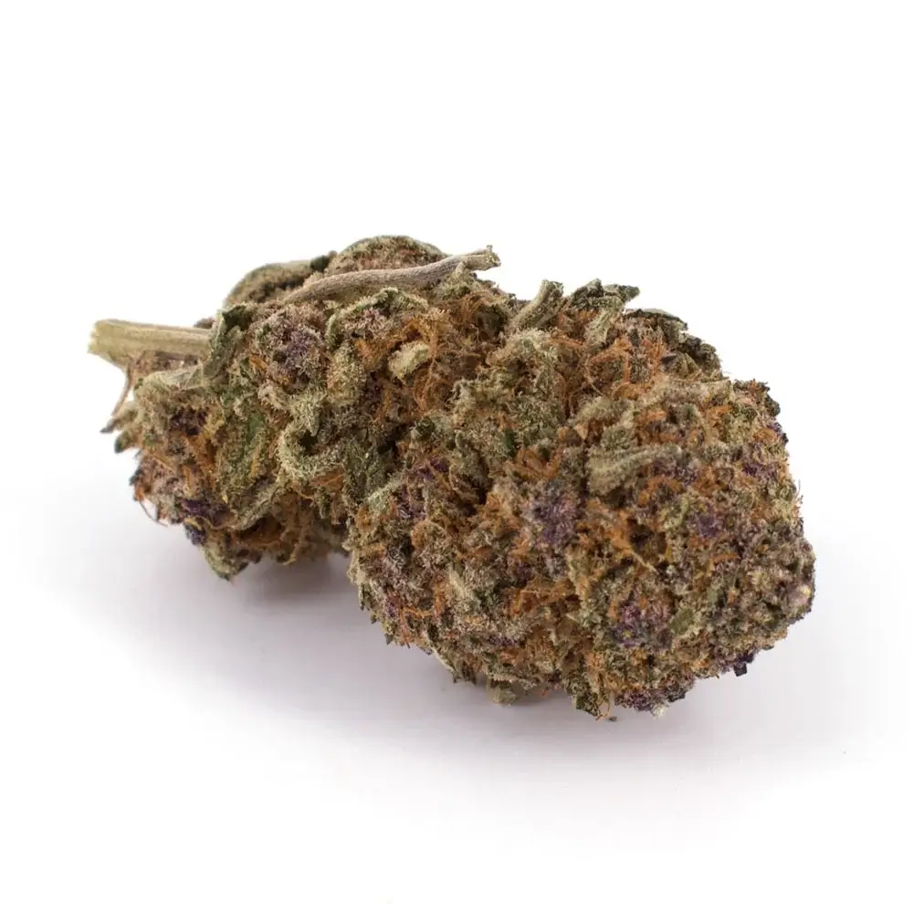Six Of the Best Purple Weed Strains | Hot Razzberry Six Of the Best Purple Weed Strains
