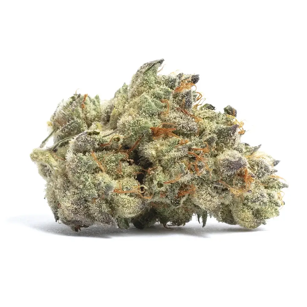 Six Of the Best Purple Weed Strains | Hot Razzberry Six Of the Best Purple Weed Strains