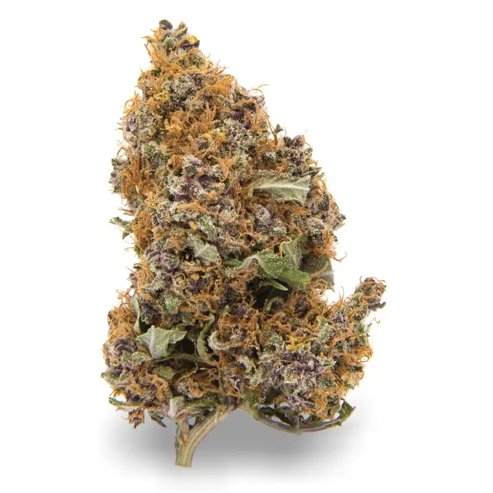Six Of the Best Purple Weed Strains | Hot Razzberry Six Of the Best Purple Weed Strains