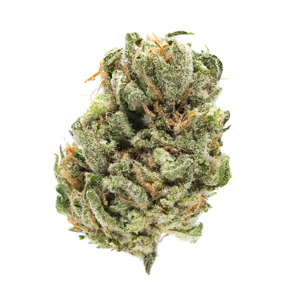 Six Of the Best Purple Weed Strains | Hot Razzberry Six Of the Best Purple Weed Strains
