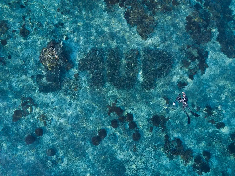 The World's First Underwater Coral Graffiti Piece By 1UP Crew
