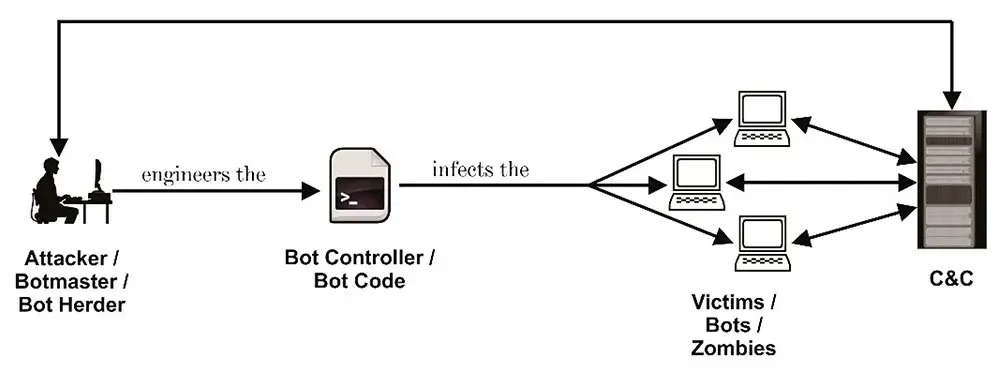 Botnet Action