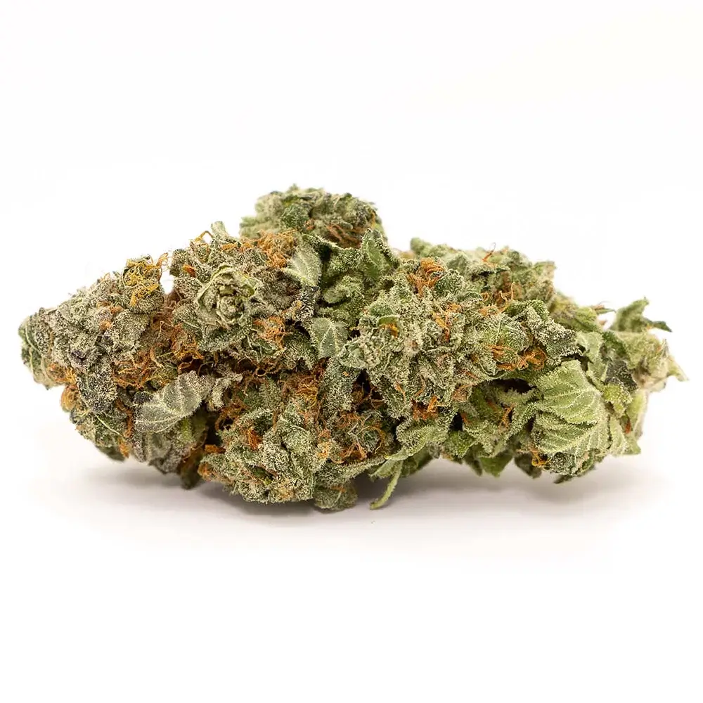 Bruce Banner | Hot Razzberry Bruce Banner