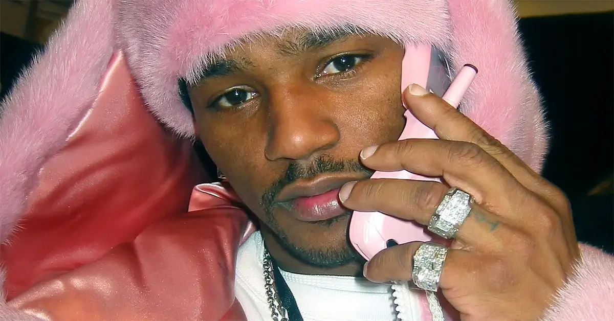 Cam'ron Facing Lawsuit Over the Usage Of Photograph Wearing Pink Fur