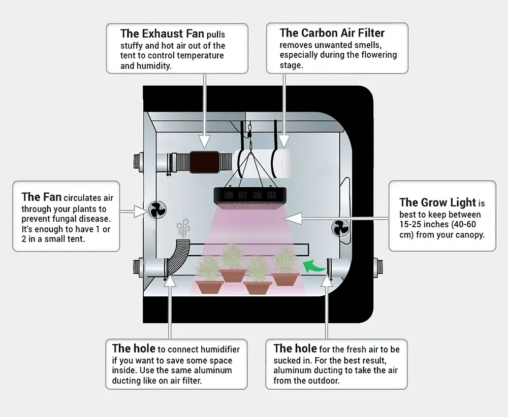 Tips For Maximizing Your Marijuana Yield | Hot Razzberry Tips For Maximizing Your Marijuana Yield