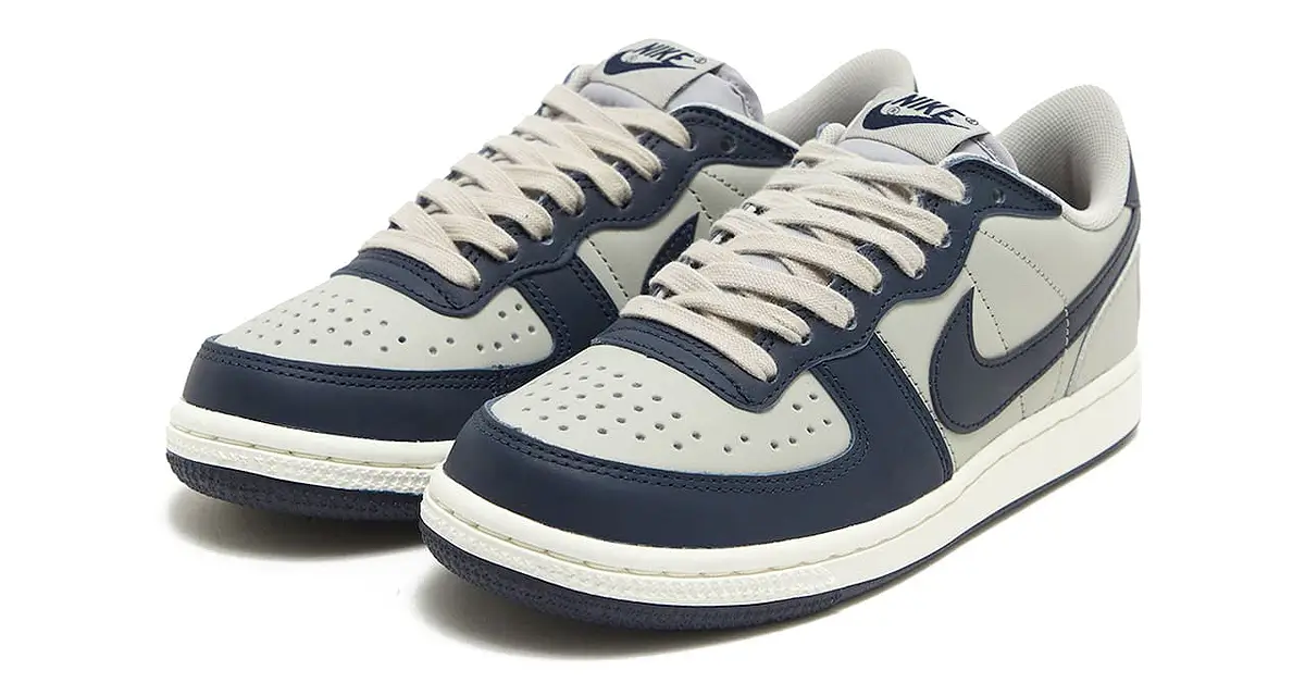 Nike Terminator Low Georgetown Colorway