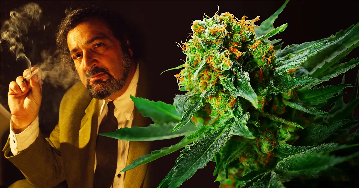 Jack Herer