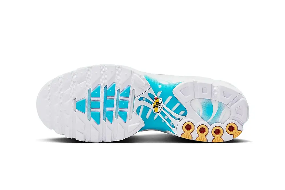 Nike Air Max Plus “Marseille”