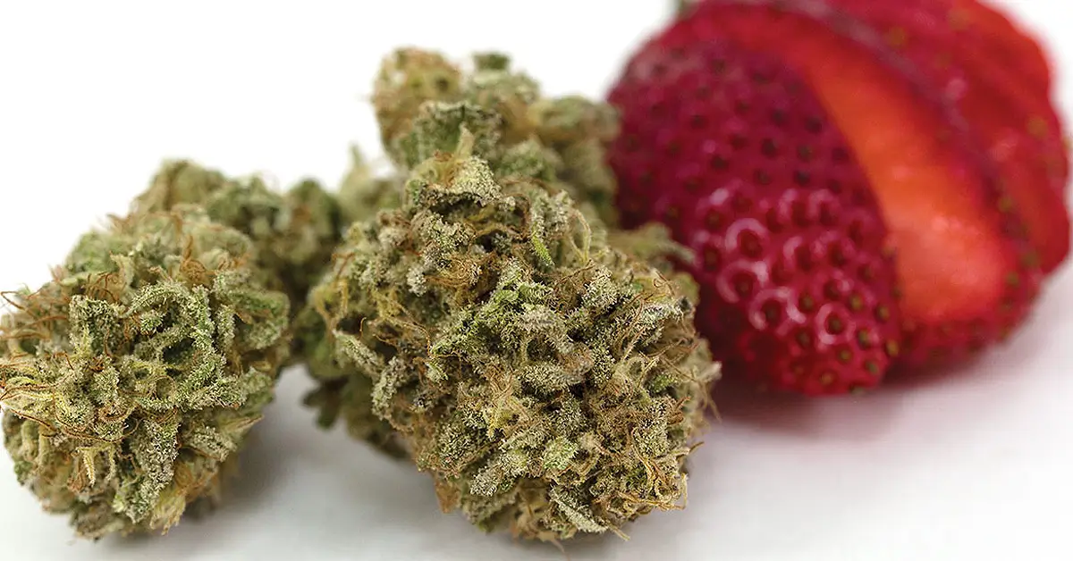 Sour Strawberry Kush