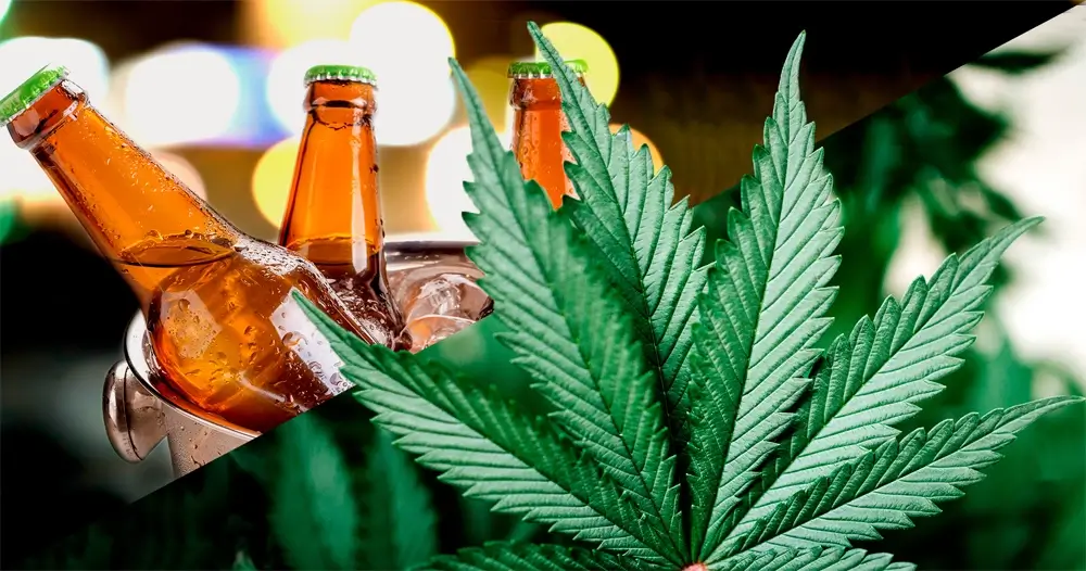 Dazed & Infused: THC-Infused Brew | Hot Razzberry Dazed & Infused: THC-Infused Brew