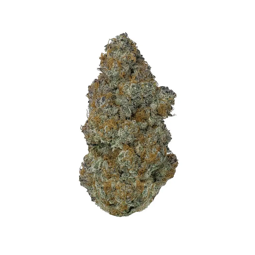 Top 10 Cannabis Strains Dominating the California Market In 2023