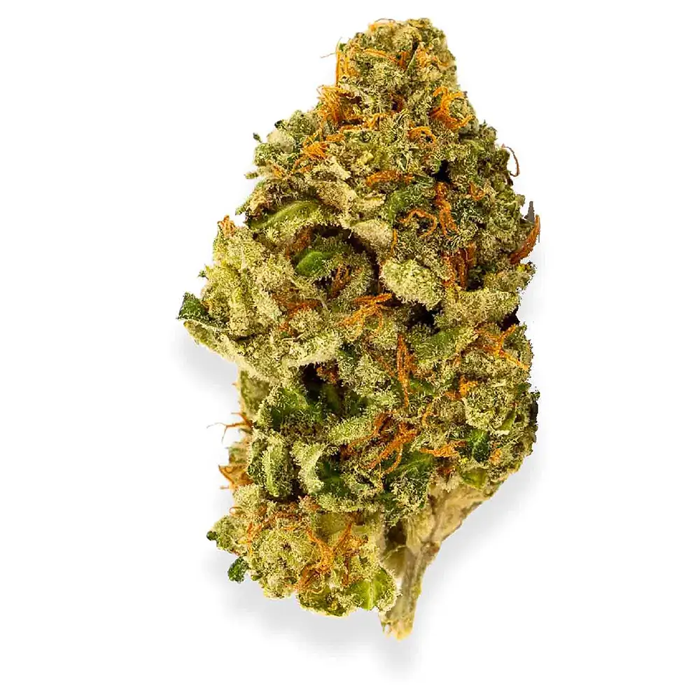 Top 10 Cannabis Strains Dominating the California Market In 2023