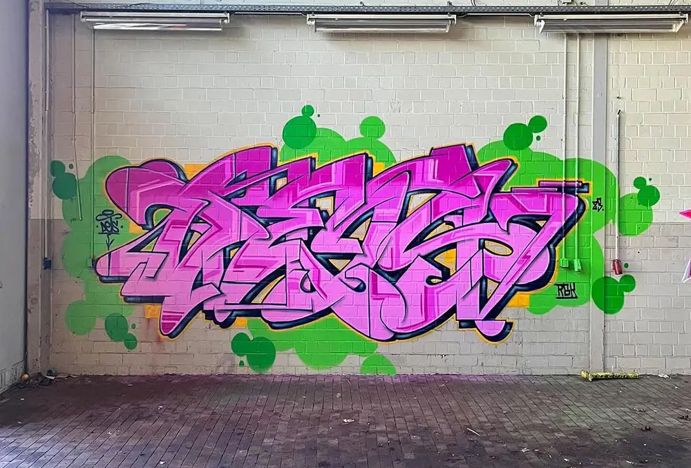 Dets RSK CHMS