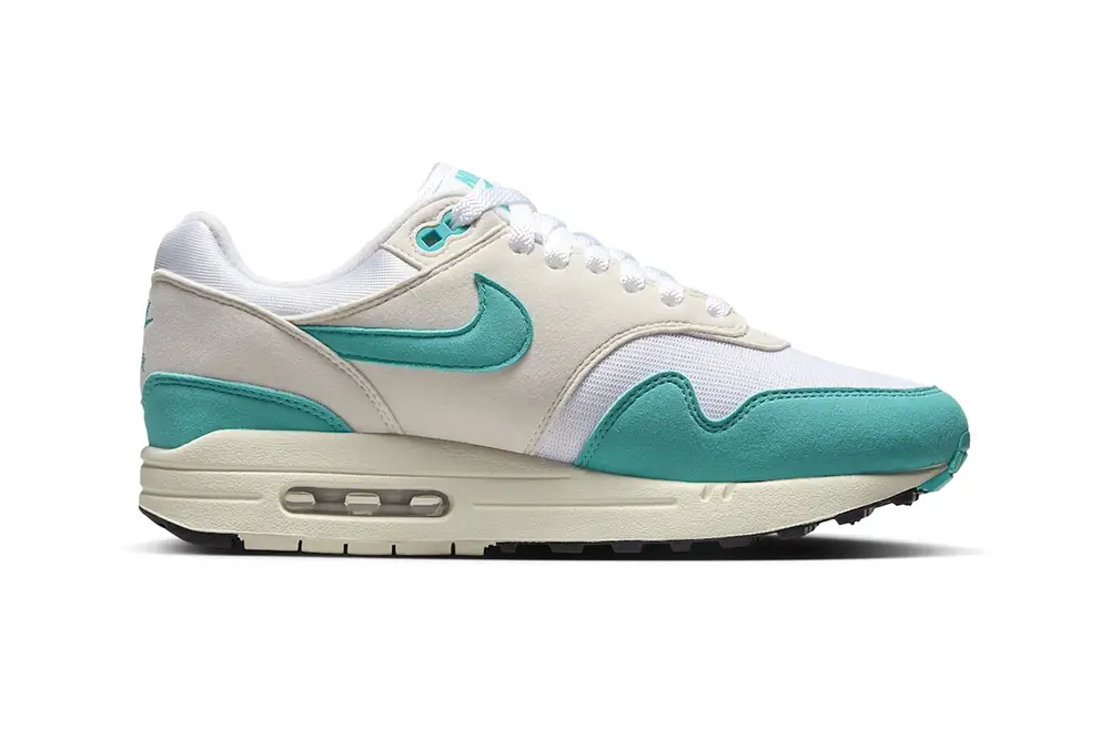 Nike Air Max 1 "Dusty Cactus"
