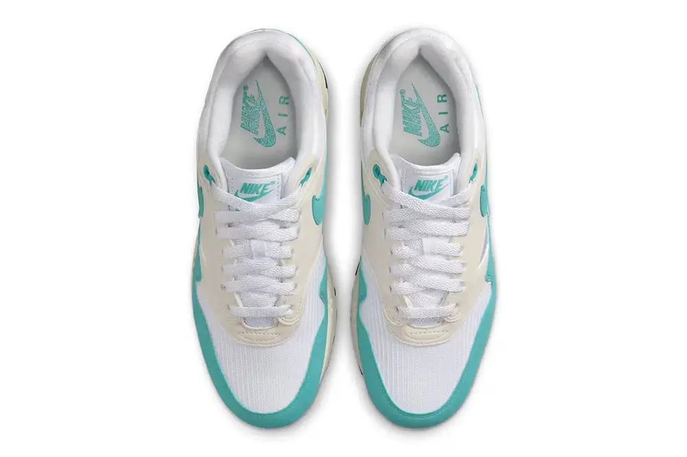 Nike Air Max 1 "Dusty Cactus"