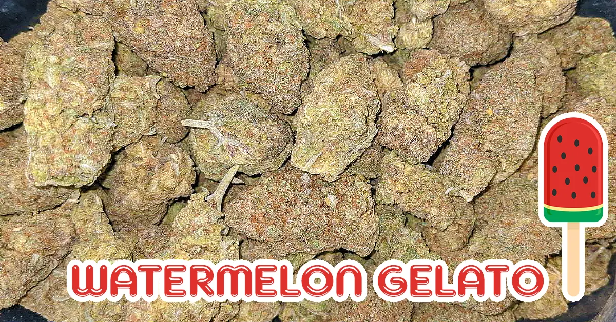 Watermelon Gelato | Hot Razzberry Watermelon Gelato